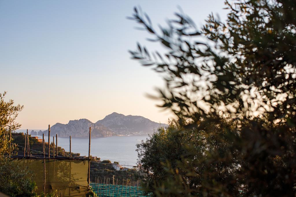 Apartamento Il Nido Del Gabbiano Massa Lubrense Exterior foto
